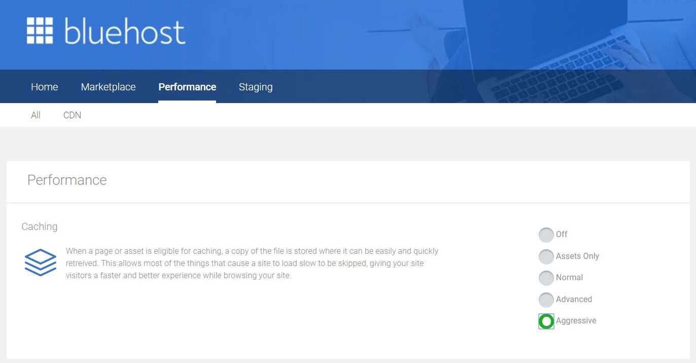 Bluehost Caching New